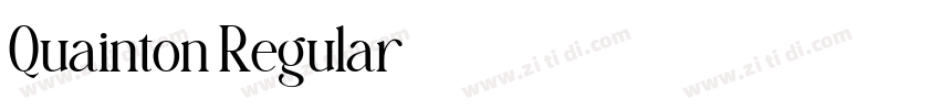 Quainton Regular字体转换